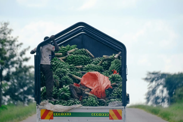 Banana sellers en route the market in Uganda. Credit: Francesco Ungaro.