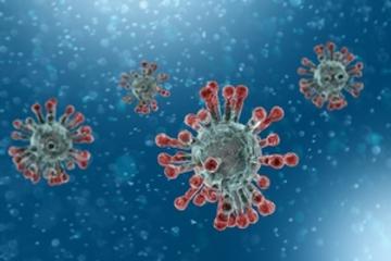 coronavirus