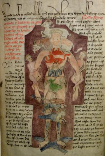 MS Ashmole 391, Part II, folio 3. Picture by Daniel Wakelin.