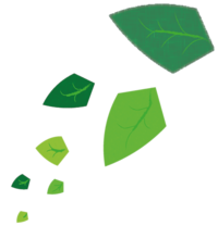 Wellbeing leaves